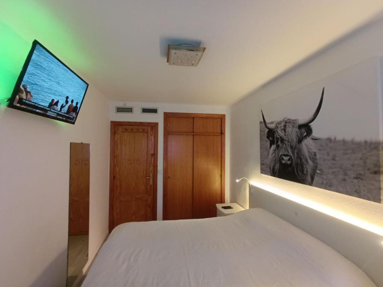 Apartment To Rent In Costa Blanca ตอร์เรเวียคา ภายนอก รูปภาพ